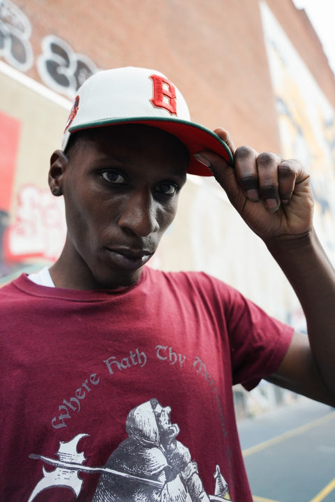 The Negro League Collection by Milly