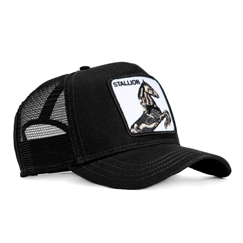 Goorin Bros Stallion Adjustable Trucker Hat - Black