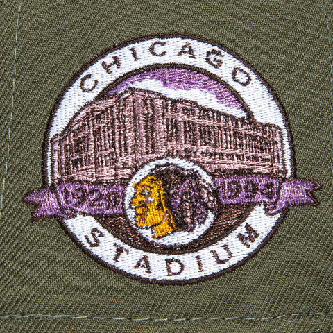 METALLIC 2TONE BLACKHAWKS STADIUM OLV/BRN New Era
