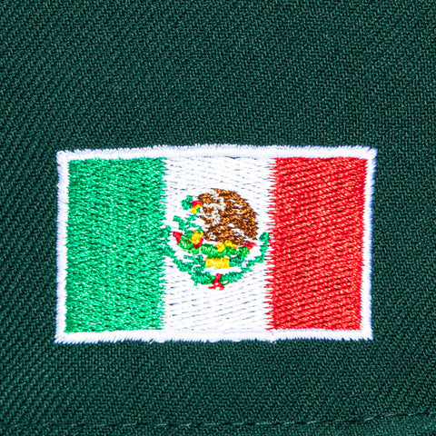 2TONE BLACKHAWKS MX GRN/BLK New Era