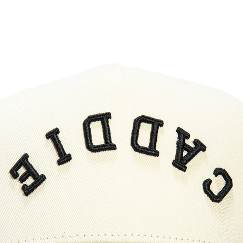 BUNX CADDIE UPSIDE STN/BLK SN Bunx Golf