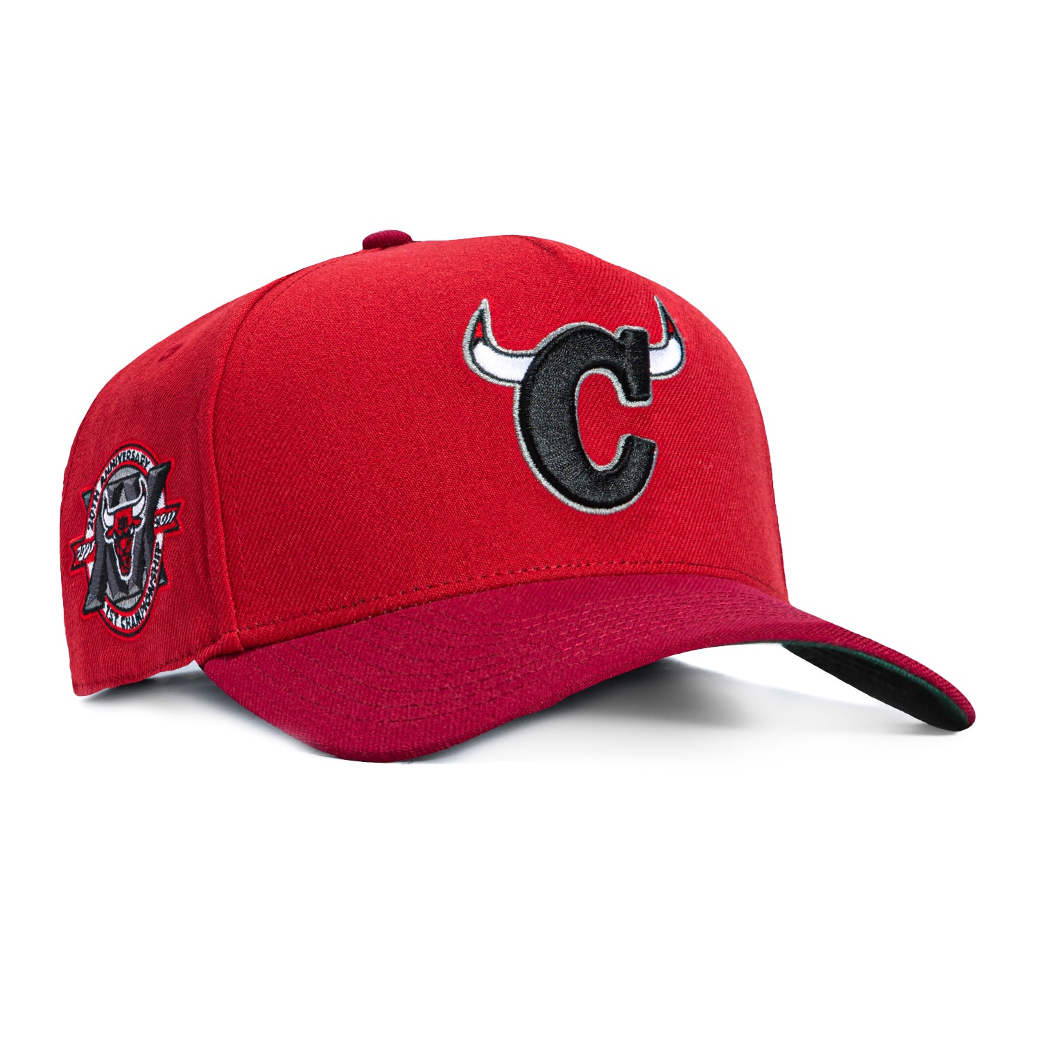 Mitchell & Ness Pro Pinch Chicago Bulls 20th Anniversary Patch