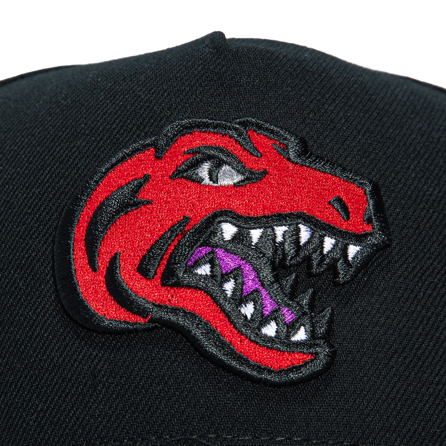 Mitchell & Ness Toronto Raptors 10th Anniversary Patch Snapback