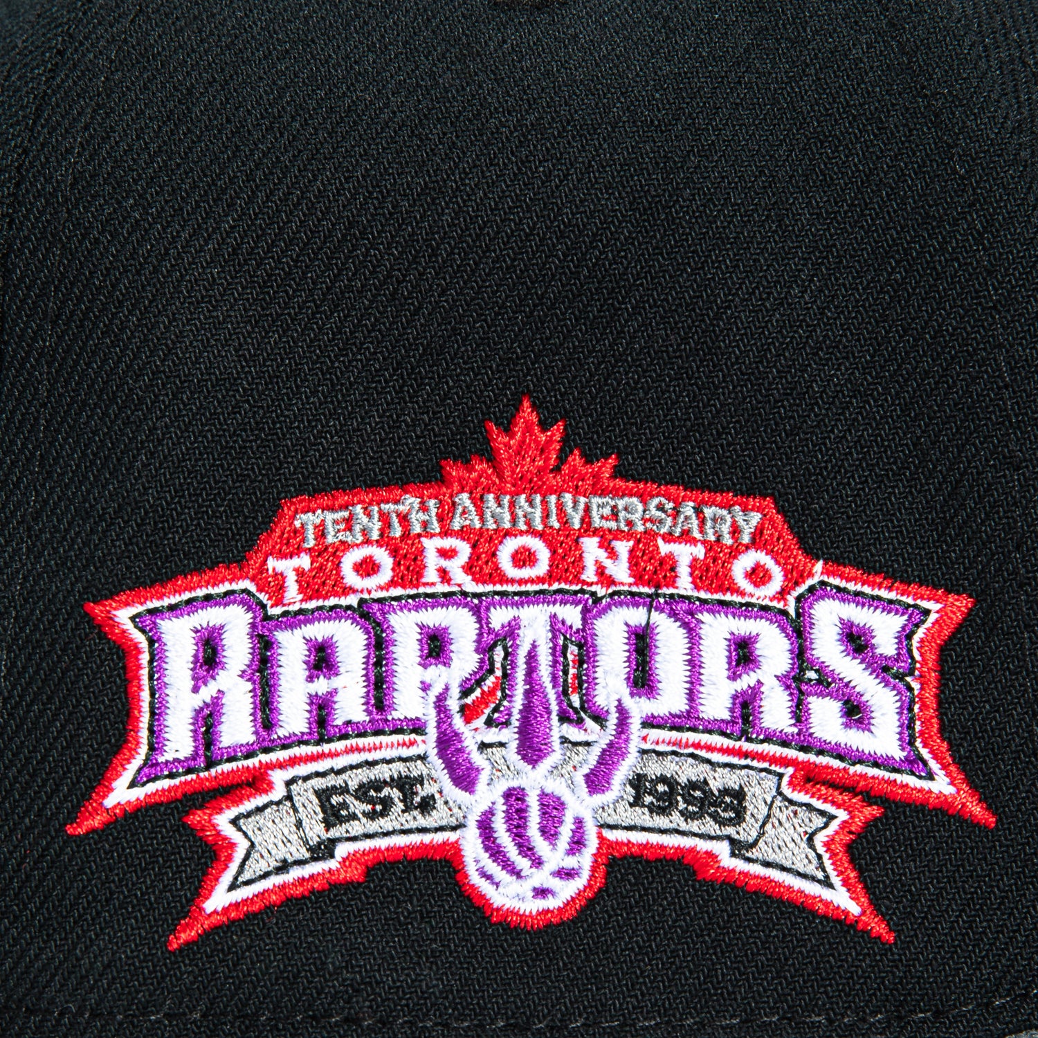 Mitchell & Ness Toronto Raptors 10th Anniversary Patch Snapback