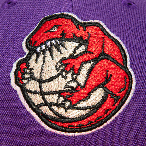NBA CORE 2TONE RAPTORS 95 BALL PUR/RED New Era
