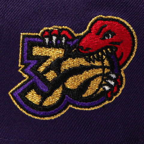 2TONE RAPTORS 30TH ALT PUR/RLTREE New Era