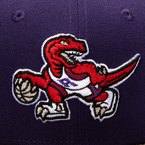 2TONE RAPTORS 30TH ALT PUR/RLTREE New Era