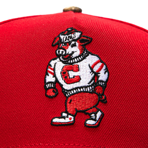 New Era 9Forty A-Frame Realtree Visor Carolina Hurricanes Logo Patch Mascot Snapback Hat - Red, Realtree New Era
