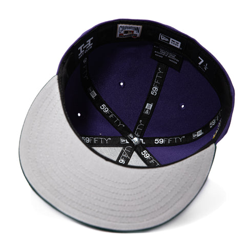 2TONE DBACKS WS01 UPSIDE GRAD PUR/GRN New Era