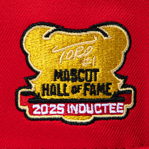 2TONE TEXANS MASCOT HOF RED/NVY New Era