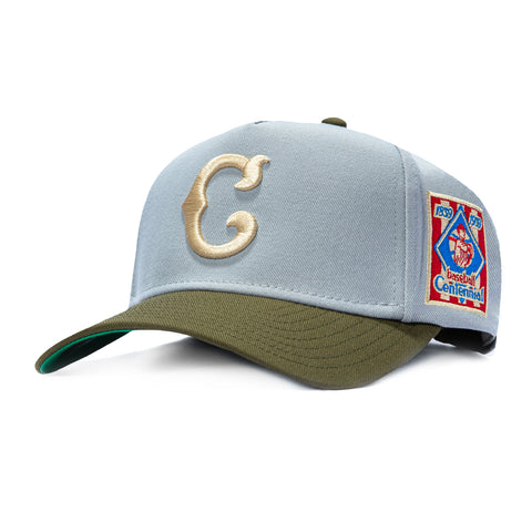 MN 2T CUBS GRY/OLV SN Mitchell and Ness