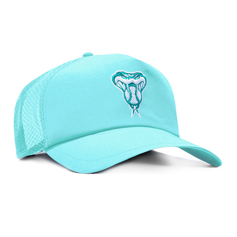 New Era 9Forty Apex Arizona Diamondbacks 2026 Batting Practice Snakehead Snapback Hat - Teal New Era