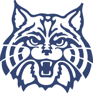 ARIZONA WILDCATS