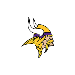 MINNESOTA VIKINGS